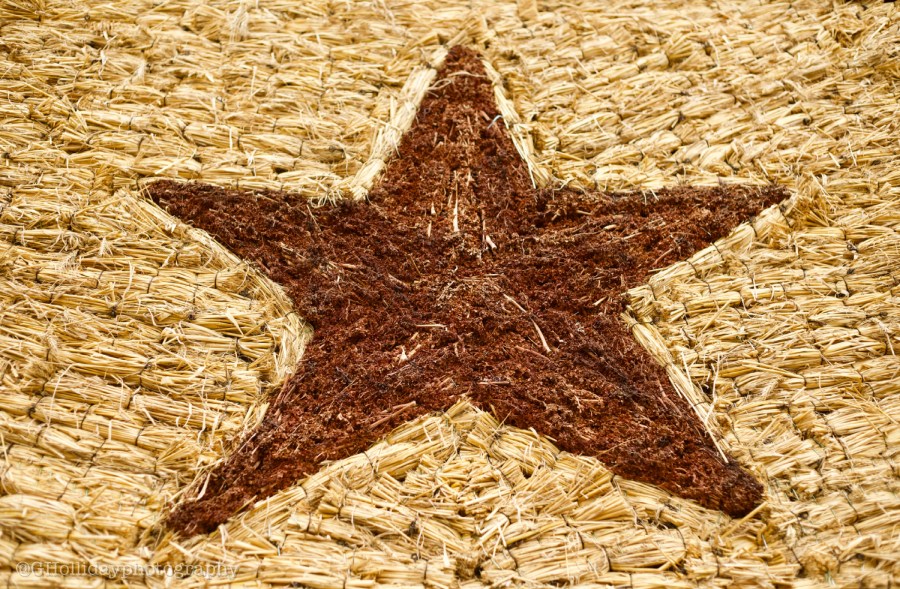 Cornpalacestar©.jpg