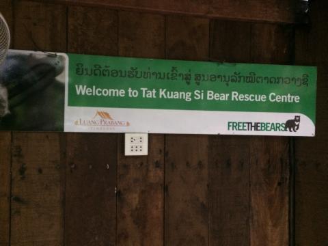 TatKuangSiBear.jpg